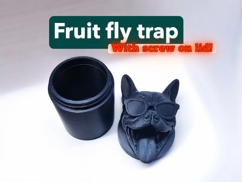 French bulldog fruit fly trap