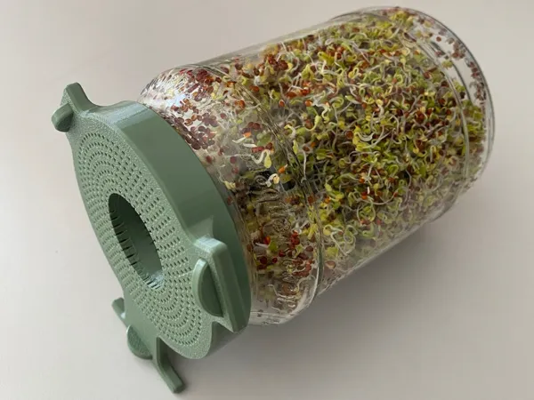https://makerworld.bblmw.com/makerworld/model/USf72d19a63ecf4/design/2025-05-09_2b61f8b64b2688.jpg