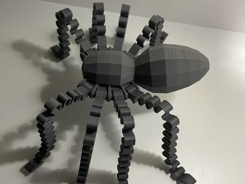 Bouncy Spider