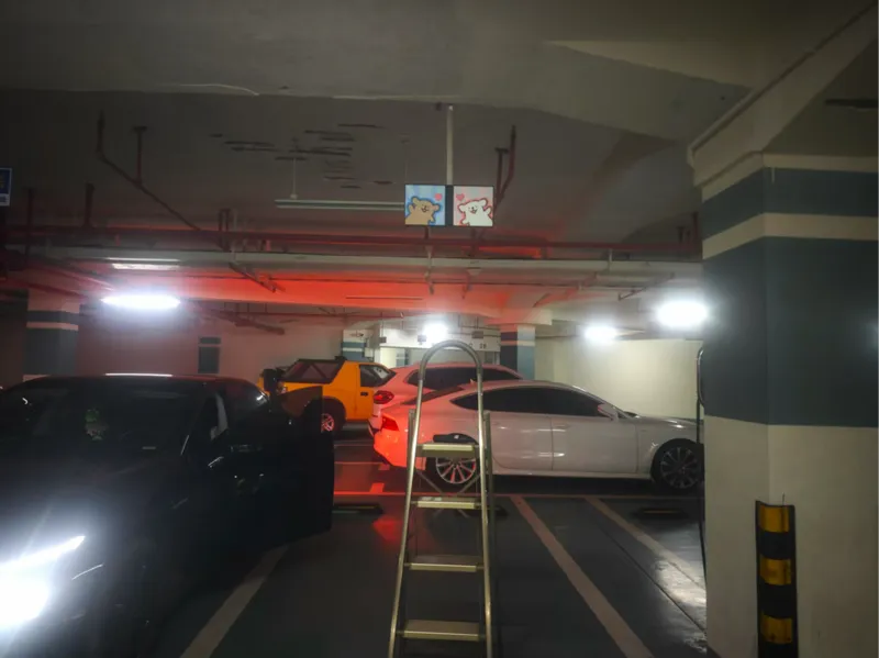 治愈上下班路！地库专属「车牌架+线条小狗装饰画」| 强磁固定，秒换心情
