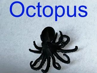 Octopus