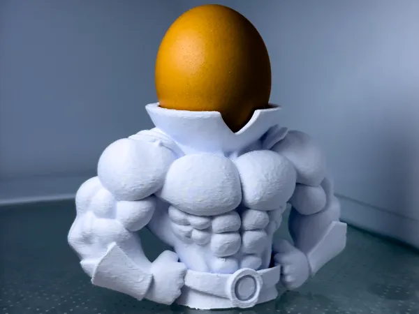 https://makerworld.bblmw.com/makerworld/model/USf740125e88fde5/design/2025-03-22_eabe53644ba3f.jpg