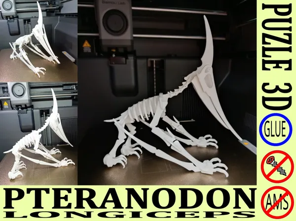 https://makerworld.bblmw.com/makerworld/model/USf743071679417/design/19287f55e222631e.jpg