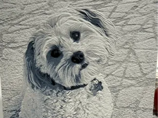 Puppy Hueforge
