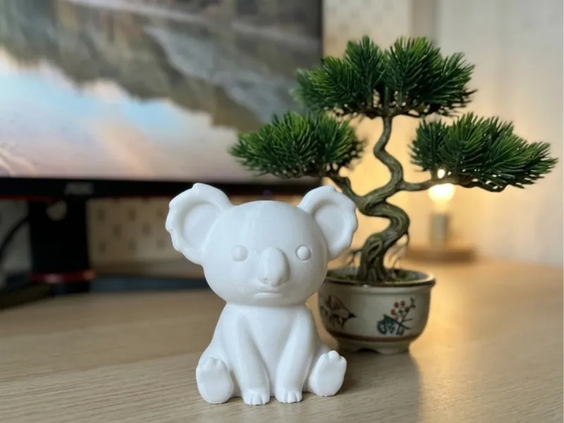 Koala