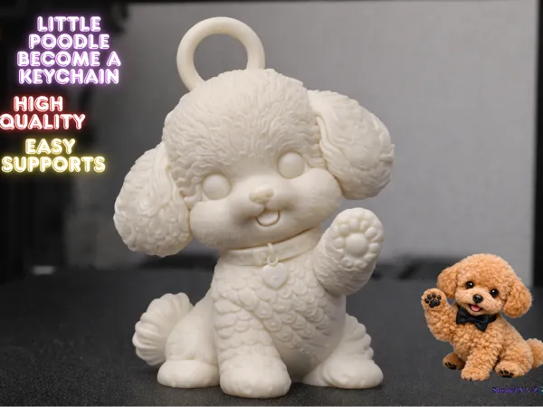 https://makerworld.bblmw.com/makerworld/model/USf750e8a4525daf/design/2026-01-11_14924700691558.png