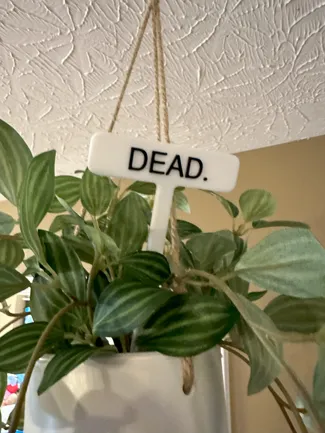 Funny Plant Markers 