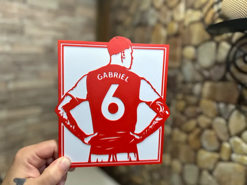 Gabriel Magalhaes Wall Art