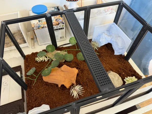 https://makerworld.bblmw.com/makerworld/model/USf75502f52a48be/design/2025-04-24_d4f0f4602ac328.jpeg
