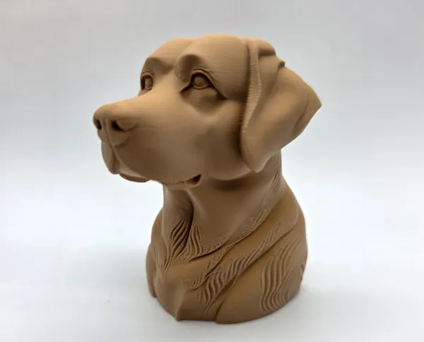 https://makerworld.bblmw.com/makerworld/model/USf75d6adcf6e661/design/2026-02-16_252di6k0jdw3.jpg