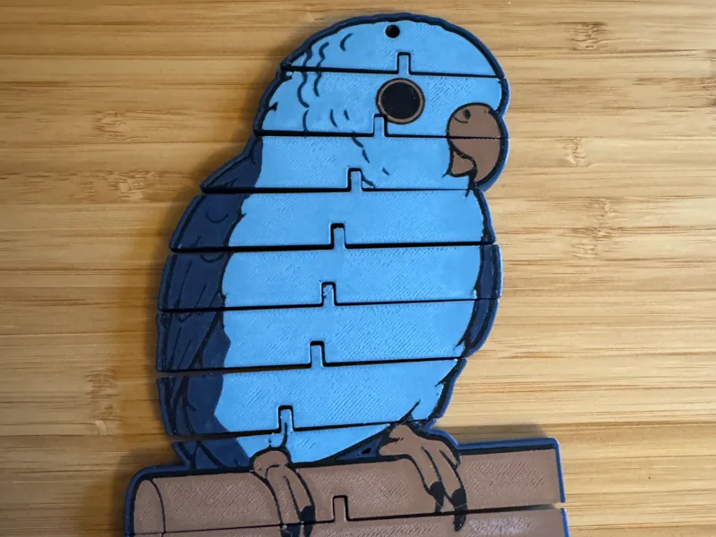 Lineolated Parakeet - Flexi Toy