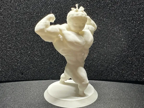 https://makerworld.bblmw.com/makerworld/model/USf76121f56d58c3/design/2025-02-09_0d31d0a18fb73.jpg