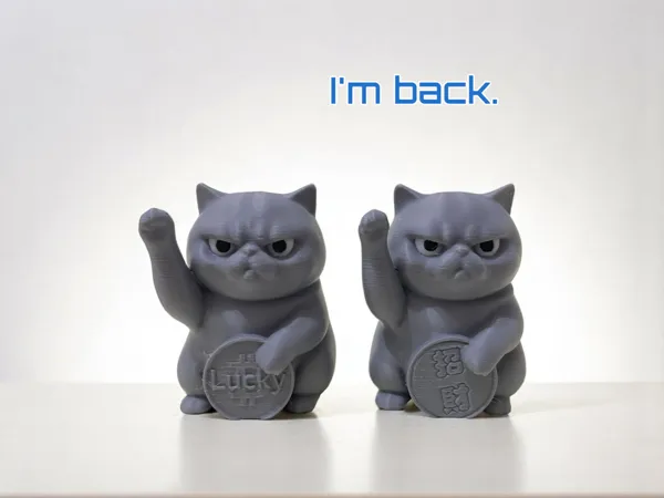 https://makerworld.bblmw.com/makerworld/model/USf763dde7e52aa5/design/2025-05-01_c81e1ad088e71.png