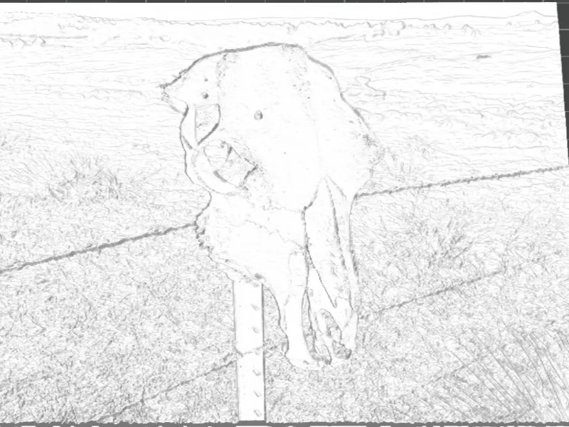 Cow Skull Lithophane