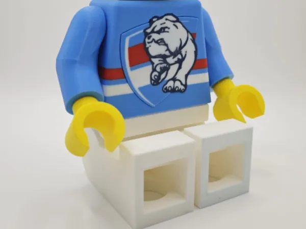 https://makerworld.bblmw.com/makerworld/model/USf764a46cf8c9f5/design/2024-10-05_687e569595567.jpg