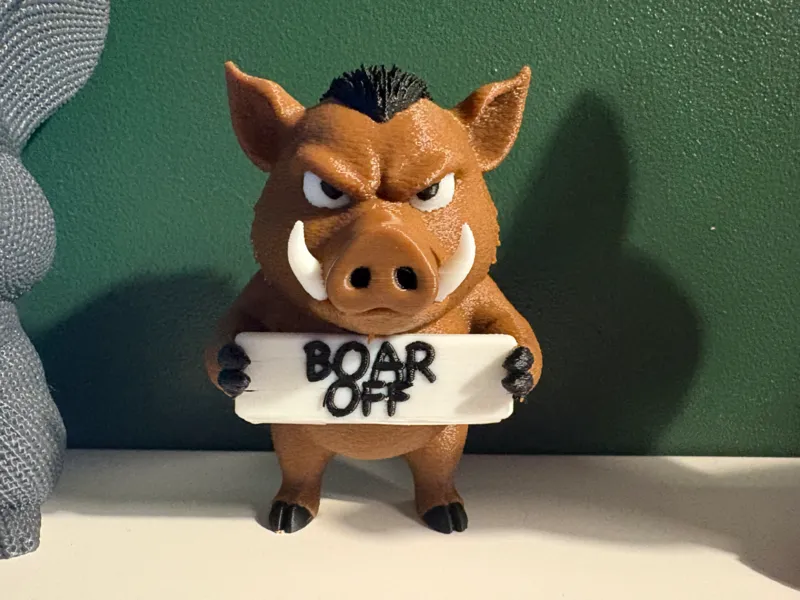 Cute but Grumpy Boar