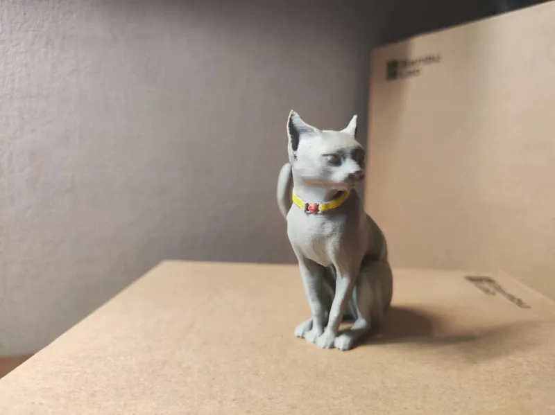 端坐的小猫