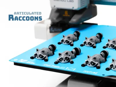 Cute Flexi Raccoon 