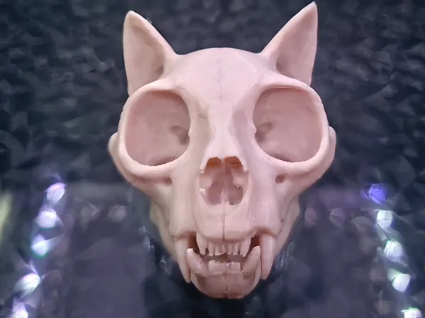 https://makerworld.bblmw.com/makerworld/model/USf76ead10be9460/design/2025-10-28_b5faf22b33514.jpg