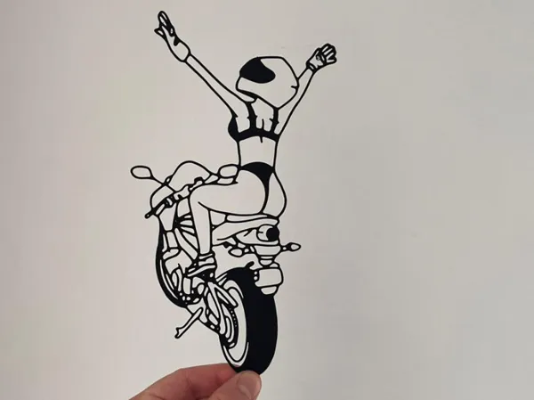 https://makerworld.bblmw.com/makerworld/model/USf76f00a747c170/design/2025-01-04_cdded53b04c528.jpg