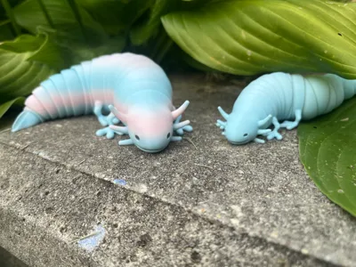 Axolotl slug 