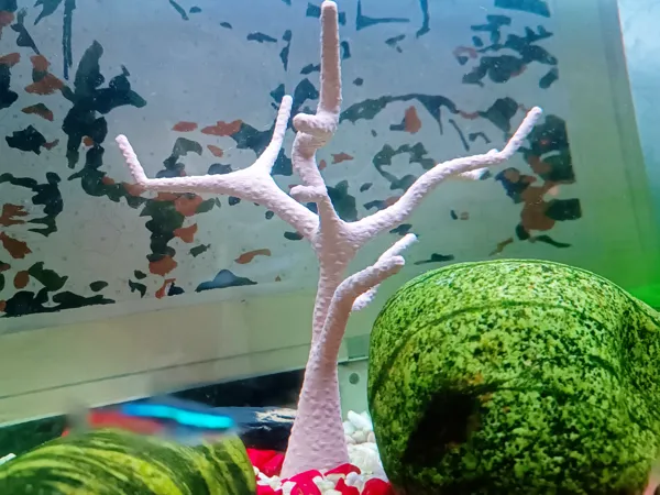 https://makerworld.bblmw.com/makerworld/model/USf776b5761dfd24/design/2025-09-18_63a4cb0f6e43d.jpg