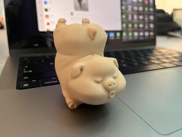 https://makerworld.bblmw.com/makerworld/model/USf77971dc163484/design/2025-05-14_1f0112e545832.jpg