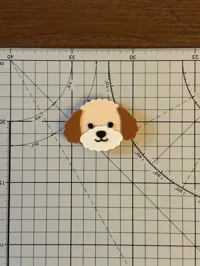 泰迪