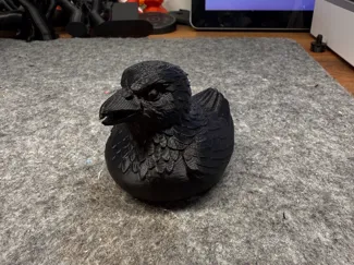 Raven Duck
