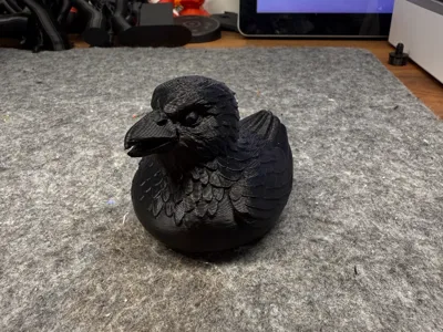Raven Duck