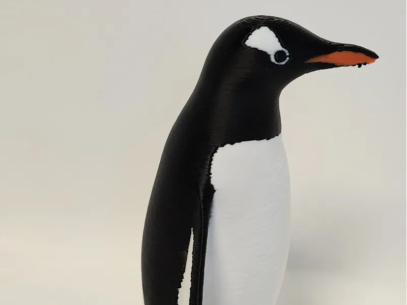Gentoo Penguin