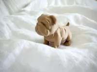 Figurine chiot bouledogue joufflu — photo 1