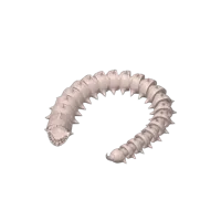 Ver articulé à pointes et dents — photo 3