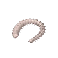 Ver articulé à pointes et dents — photo 4
