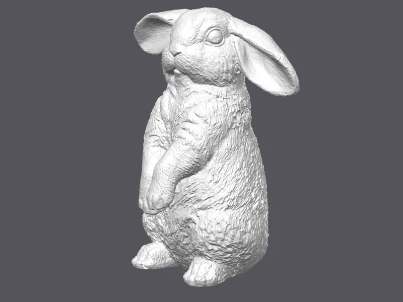 A bunny in an upright pose