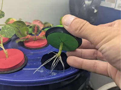 Hydroponic Cloner Adapter Ring for Foam Collar