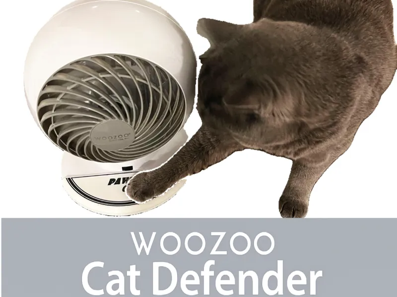 The Woozoo Cat Defender