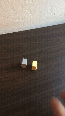 Double sided Brick/LEG O