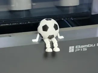 Articulated Soccer Buddy - 2 Color Soccer Ball