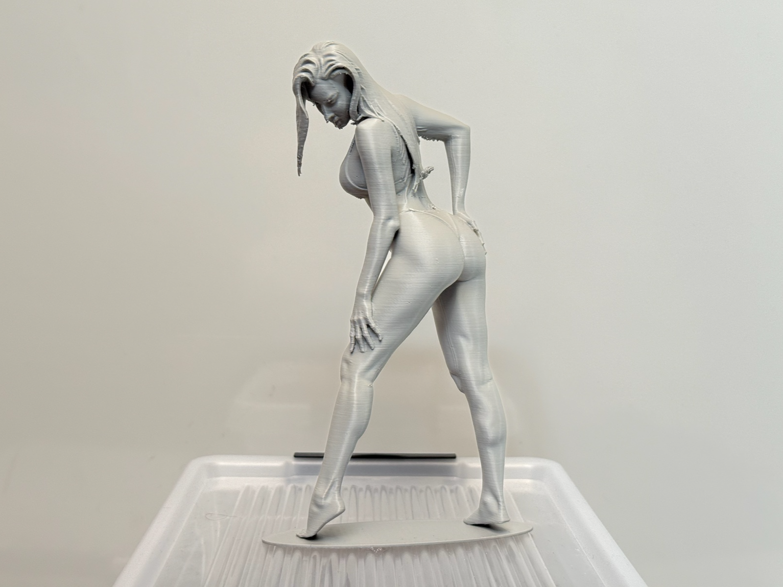 Bikini Girl - Elegant Female Figure