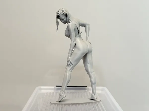 https://makerworld.bblmw.com/makerworld/model/USf78b4c325d423c/design/3da286e02891c767.jpeg