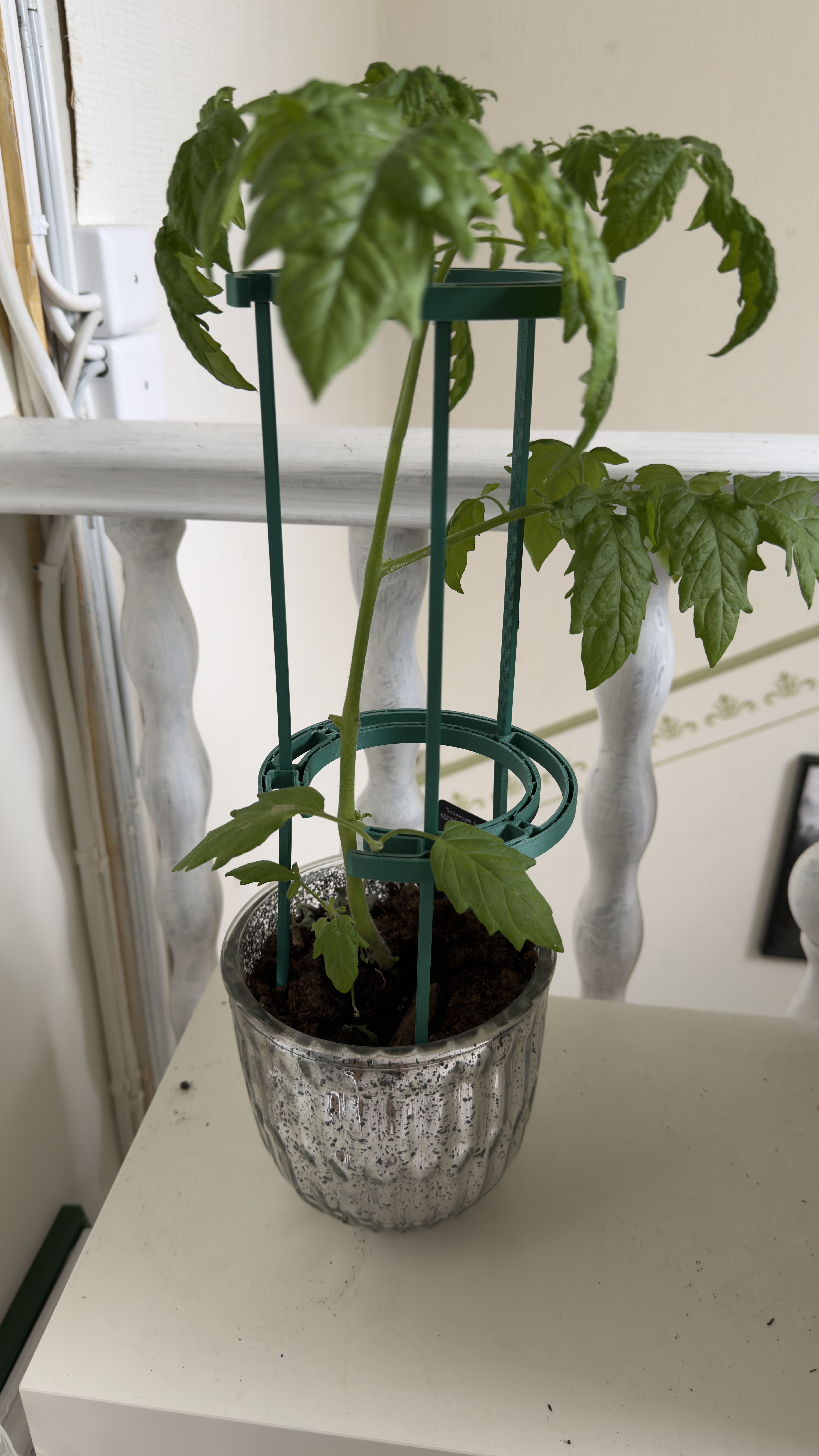 Miniatura 2 do modelo 3D Modular plant support