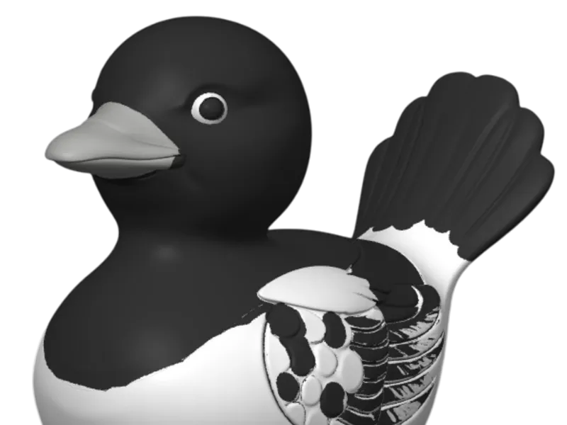 Magpie Duck