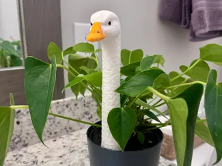 Goose stake