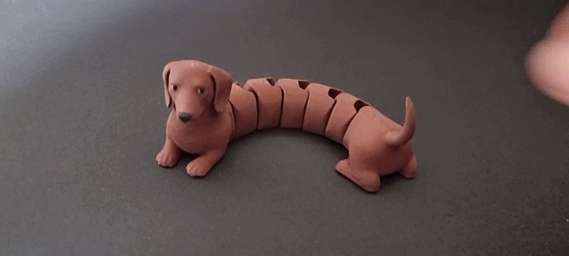 Articulated dachshund flexi multi color