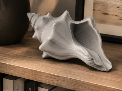 Decorative Conch Shell