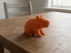 0.2mm layer, 2 walls, 10% infill