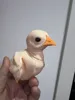 Featherless Chick Version