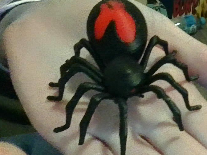 Red back spider