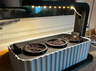 Seed starter